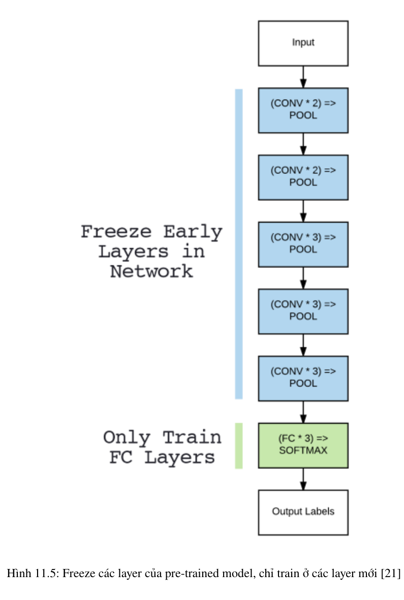 Mô hình pretrained với các tầng trích đặc trưng được freeze, chỉ train phần head mới.