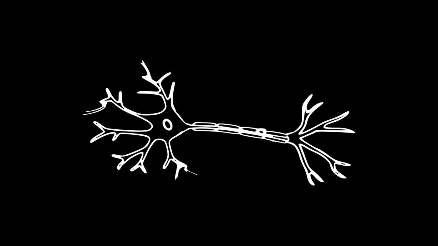 Minh họa neuron sinh học