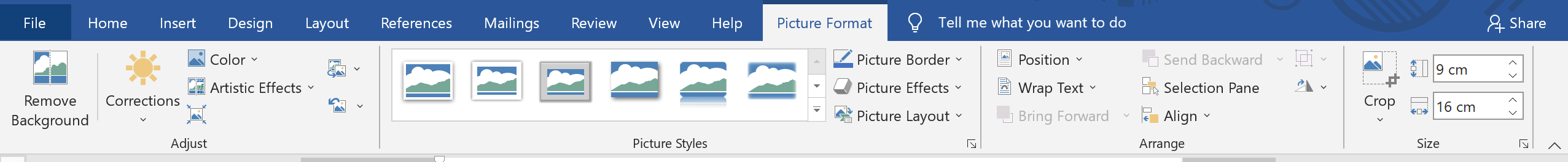 Chỉnh sửa hình ảnh trong Picture Format