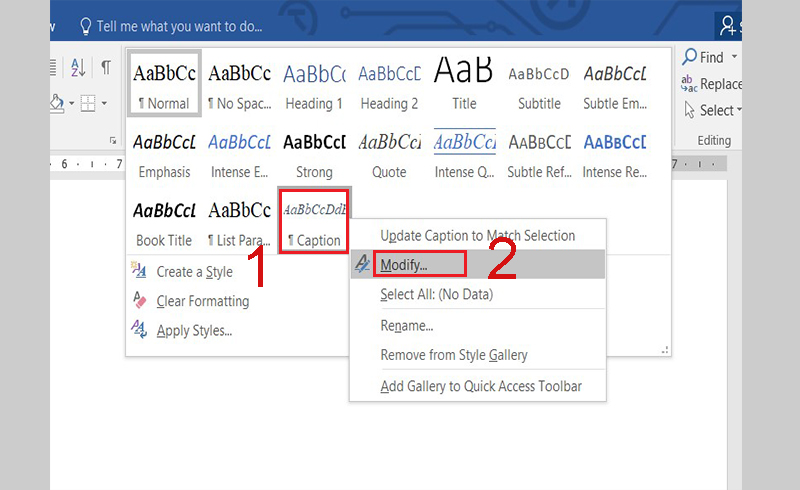 Chỉnh font chữ cho Caption hình ảnh